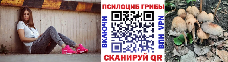 Псилоцибиновые грибы Cubensis Буй